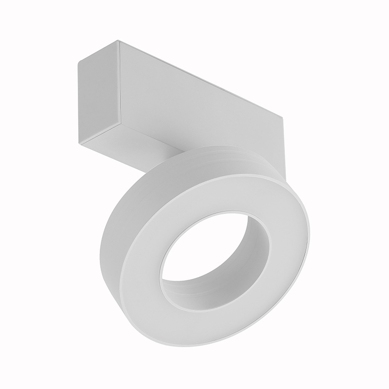 Tunable White magnetic ring light