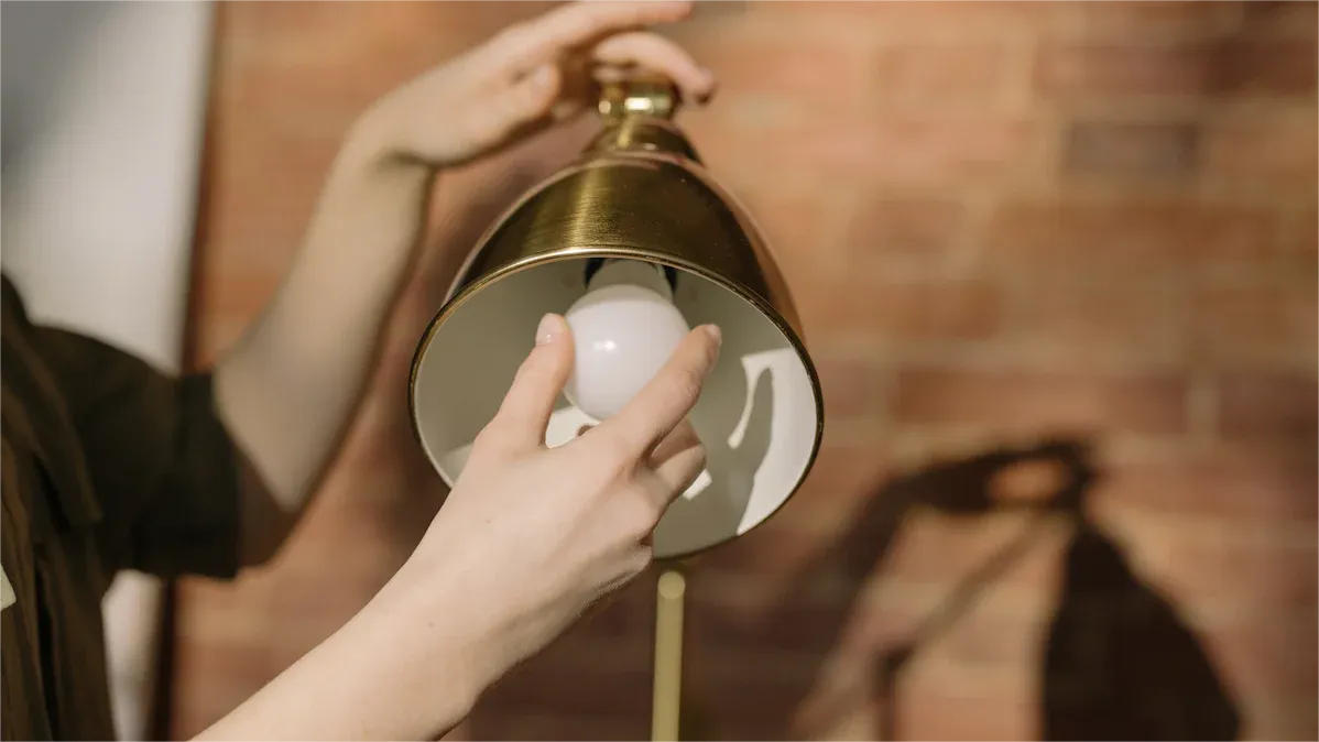 Adjust Magnetic Globe Pendant Lights