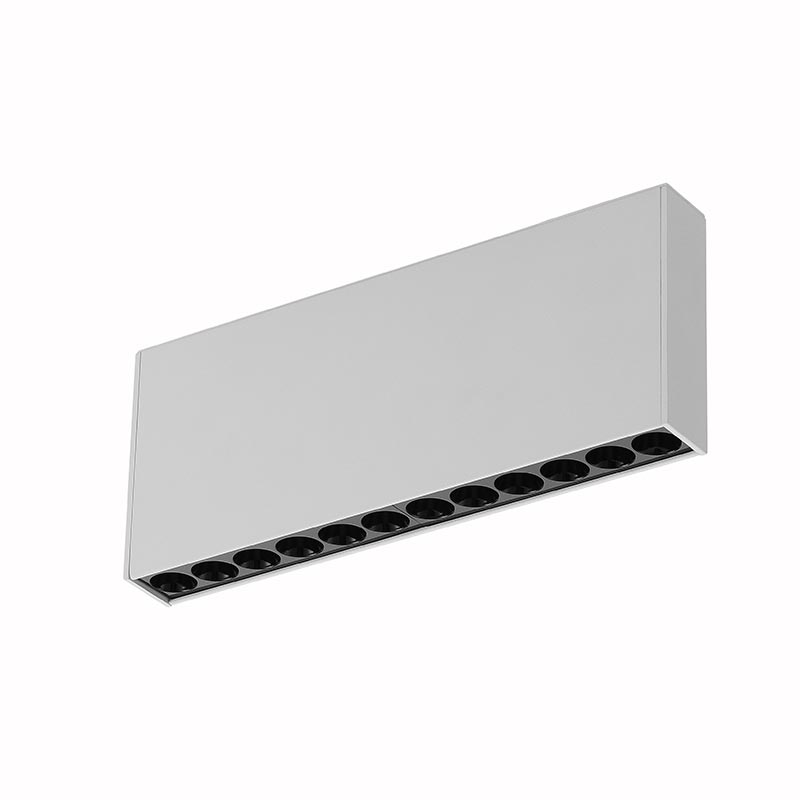 Exposed Magnetic Track Light