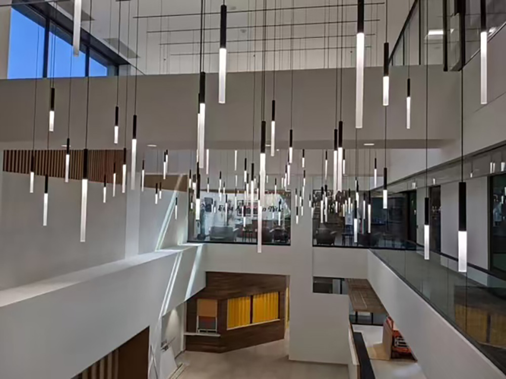 Pendant Magnetic Light Fitting